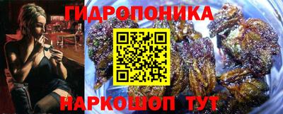 шишки Краснодар