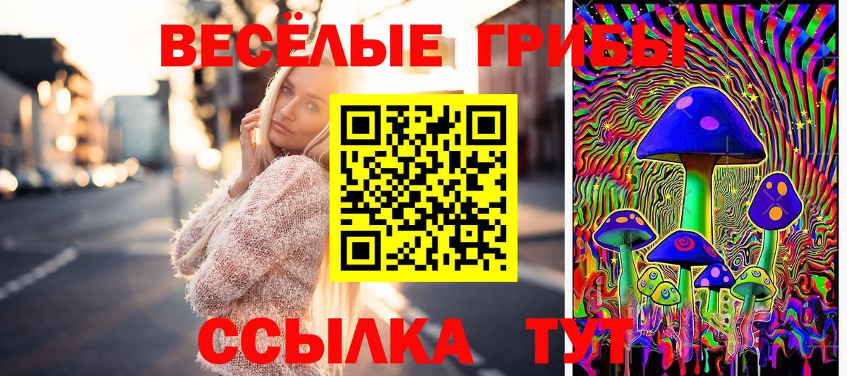 где купить наркотик  Псилоцибиновые грибы GOLDEN TEACHER  Вход с VPN  Волжский 