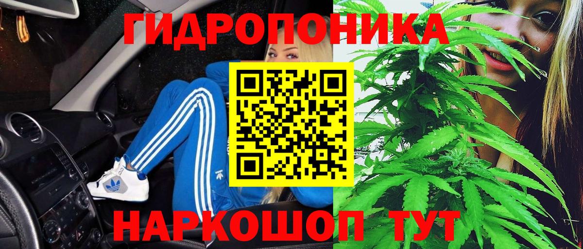 Каннабис семена Волжский